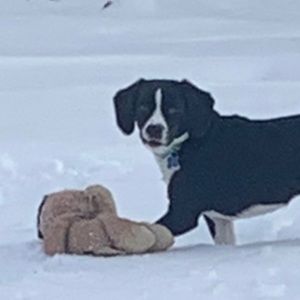 Meet your Posher, Angelie